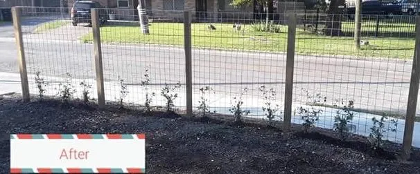 Custom lawn care service in Houston, TX by Bella Luxe Landscape and Design