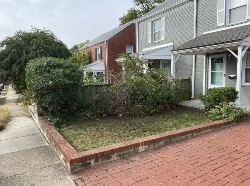Professional yard maintenance in Falls Church, VA by Bella Property Maintenance