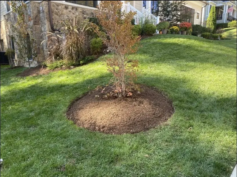 Trusted yard cleanup service in Falls Church, VA by Bella Property Maintenance