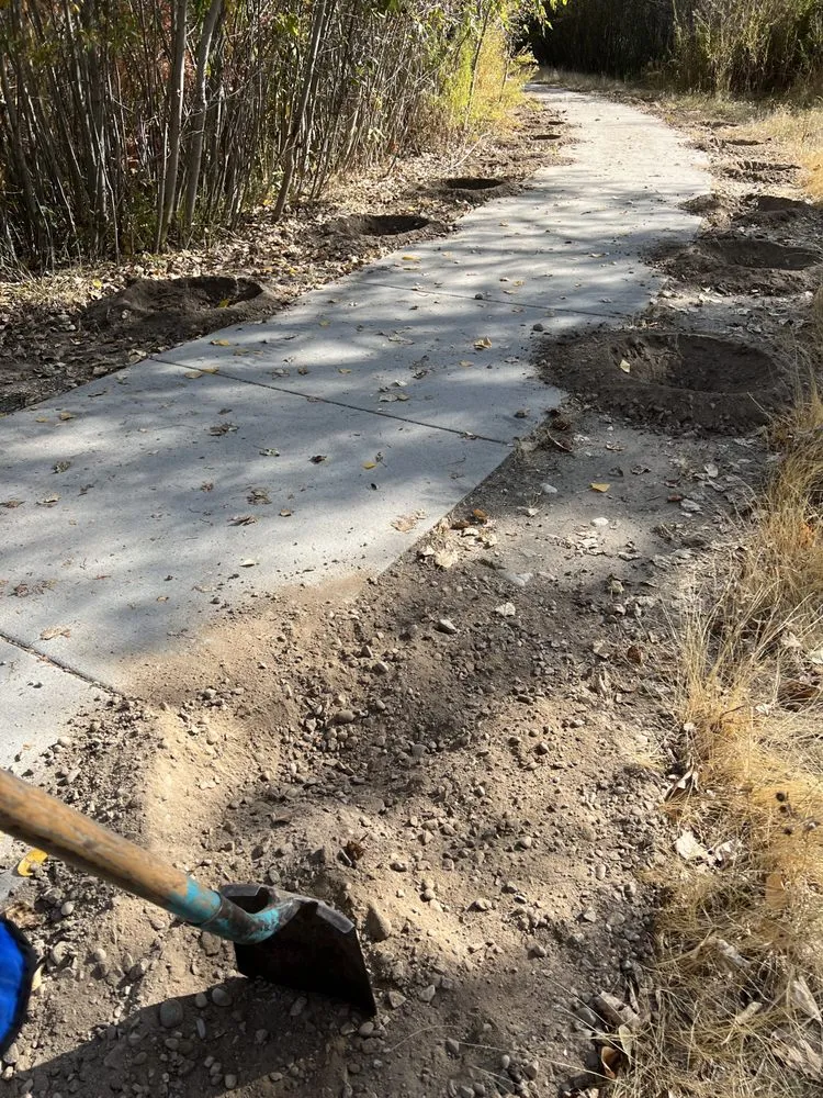 Affordable lawn care service in Meridian, ID by Bella Rosa