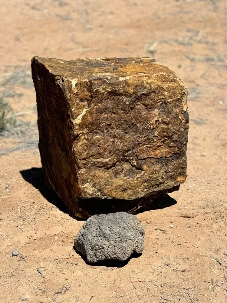 Reliable yard cleanup service experts serving Santa Fe, NM - Bella Stone