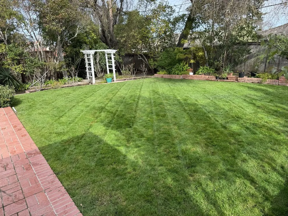 Custom yard maintenance with custom design in Burlingame, CA by Bella Terra Landscaping