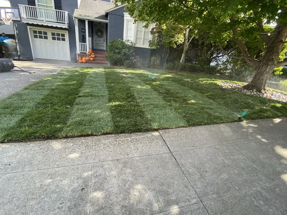 Expert outdoor landscaping for residential properties across Burlingame, CA - Bella Terra Landscaping
