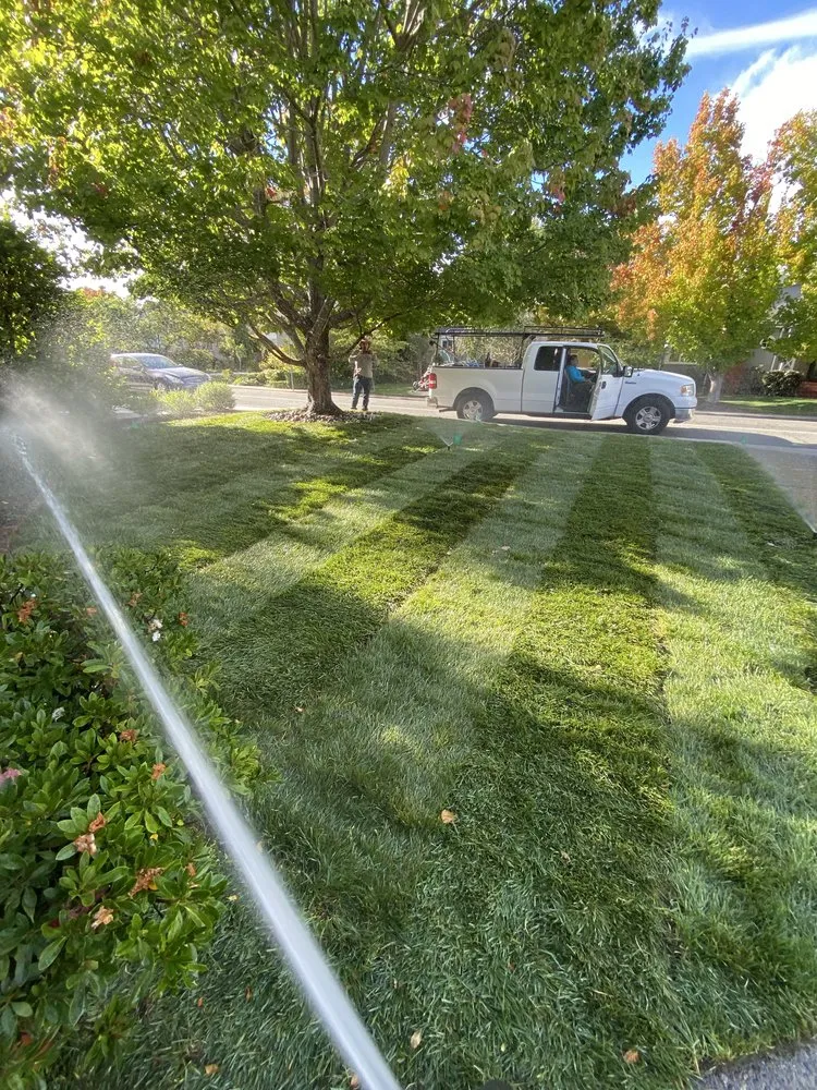 Affordable outdoor landscaping for beautiful yards across Burlingame, CA - Bella Terra Landscaping