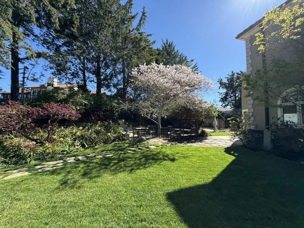 Affordable yard maintenance experts serving Burlingame, CA - Bella Terra Landscaping