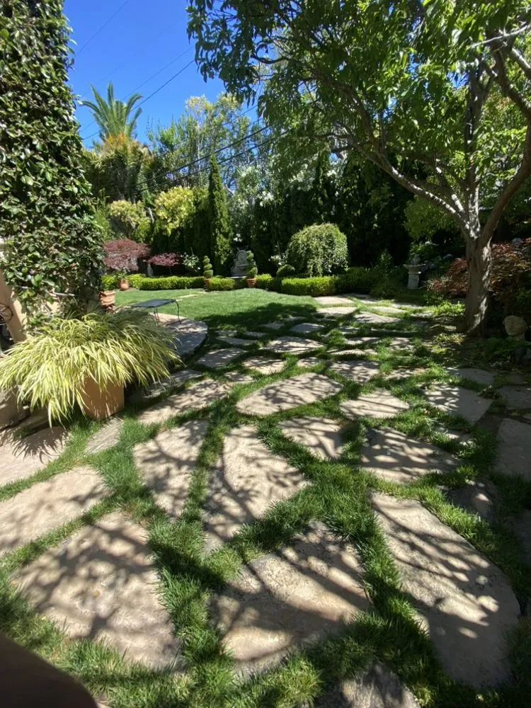 Top-rated landscape installation for beautiful yards across Burlingame, CA - Bella Terra Landscaping