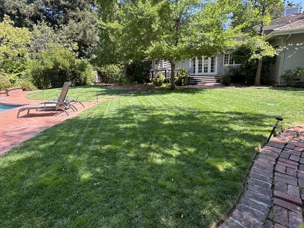 Reliable yard cleanup service for residential properties in Burlingame, CA by Bella Terra Landscaping