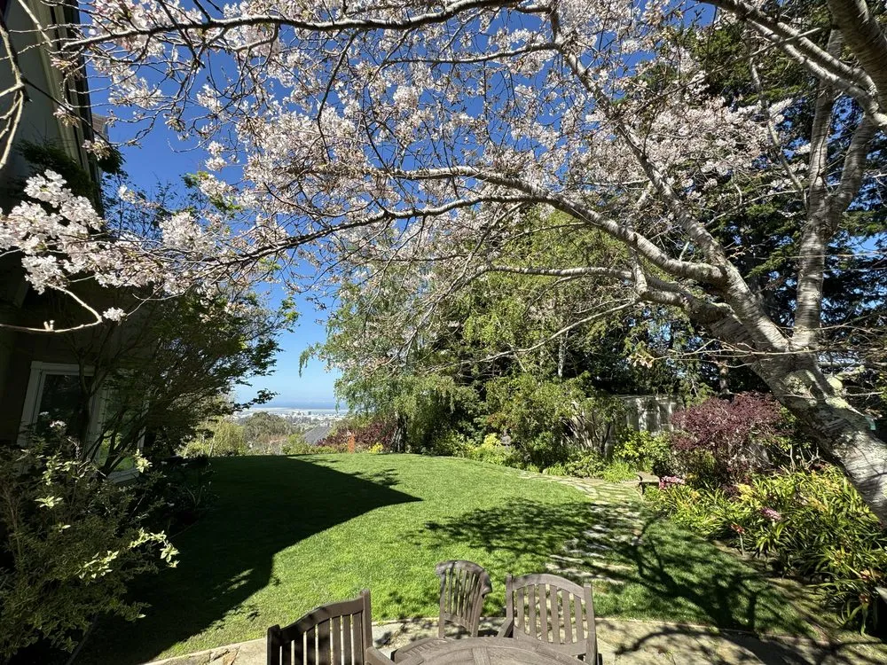 Reliable yard maintenance in Burlingame, CA by Bella Terra Landscaping