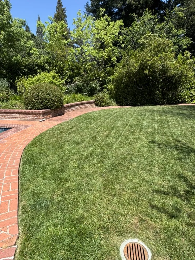 Custom landscape design experts serving Burlingame, CA - Bella Terra Landscaping