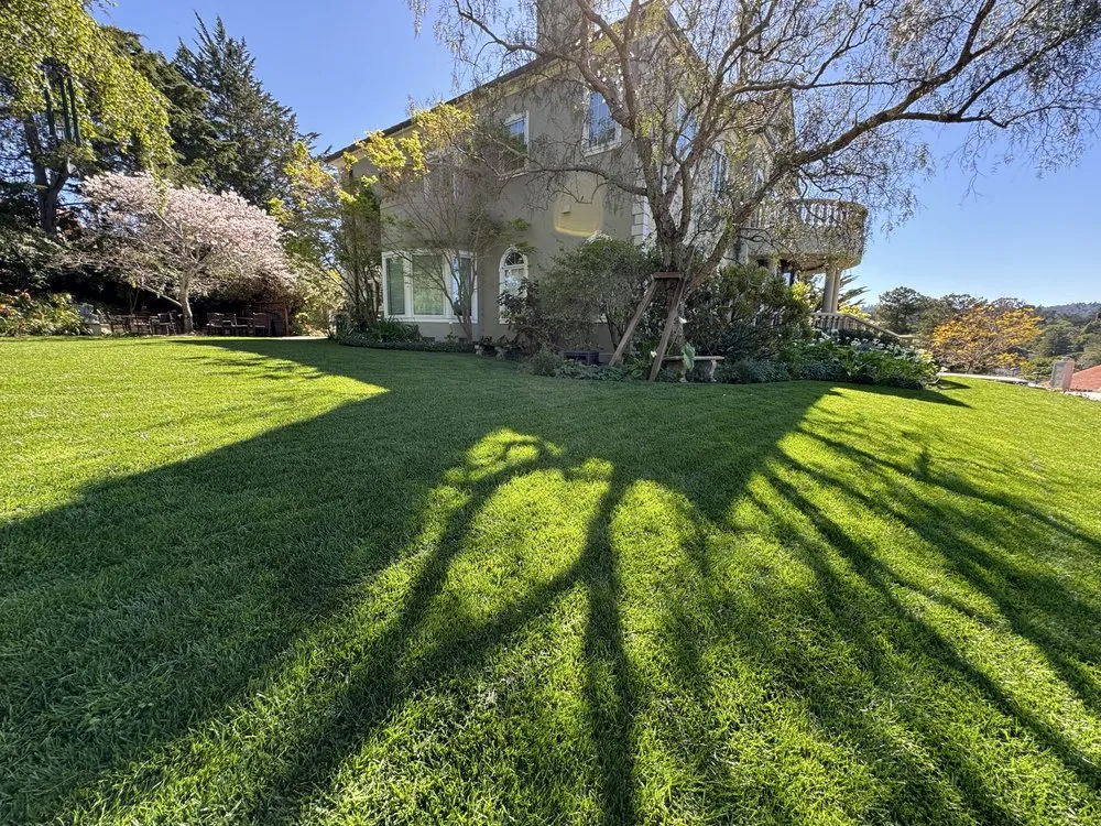 Reliable residential landscaping for residential properties across Burlingame, CA - Bella Terra Landscaping