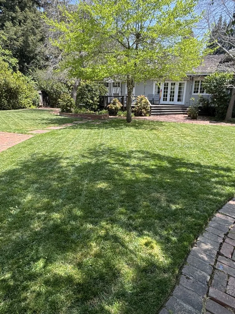 Local landscape design for beautiful yards across Burlingame, CA - Bella Terra Landscaping