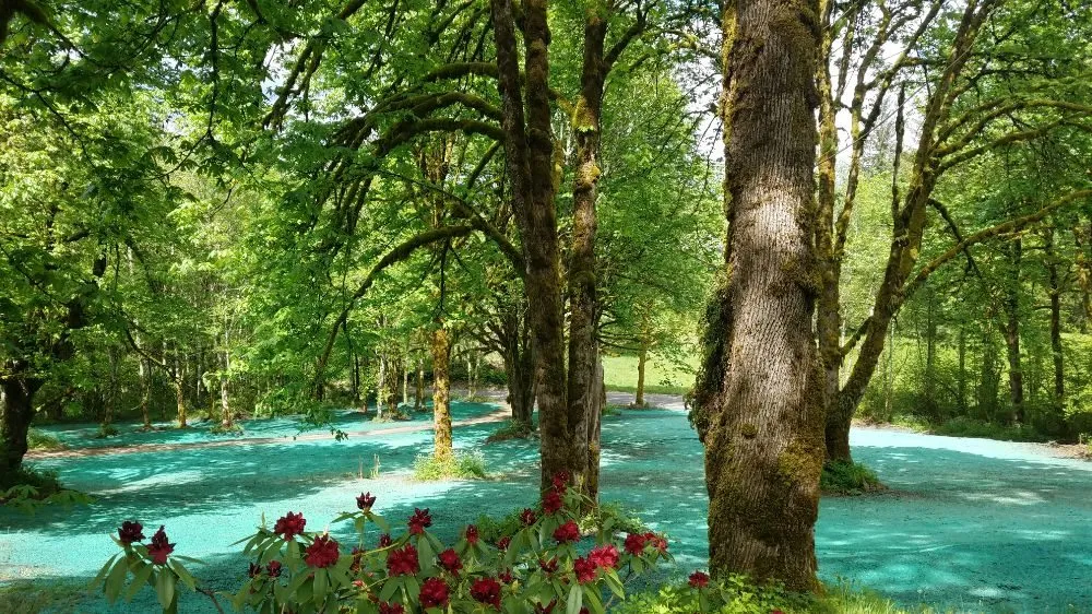 Local residential landscaping in Woodland, WA - Bella Terra