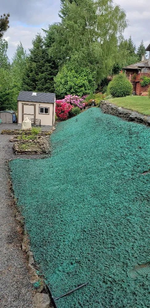 Expert residential landscaping for beautiful yards in Woodland, WA by Bella Terra