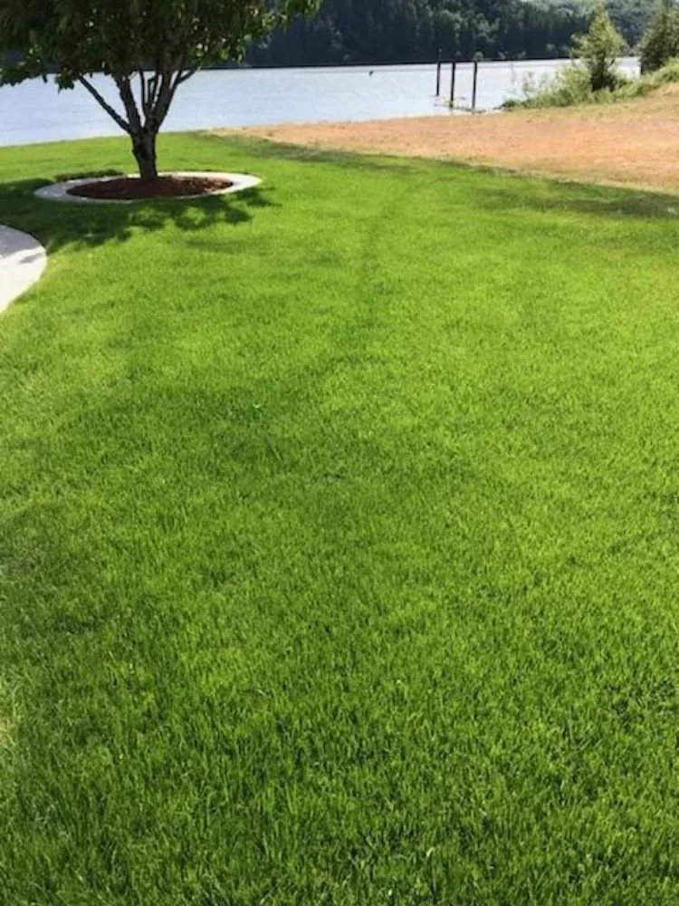 Expert residential landscaping in Woodland, WA - Bella Terra