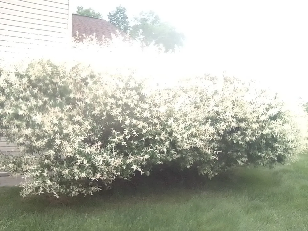 Reliable landscape design for homes in Groveport, OH by Bella Unique Landscapes and Lawncare