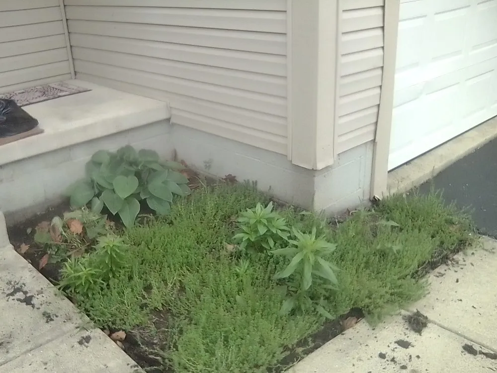 Expert residential landscaping experts serving Groveport, OH - Bella Unique Landscapes and Lawncare