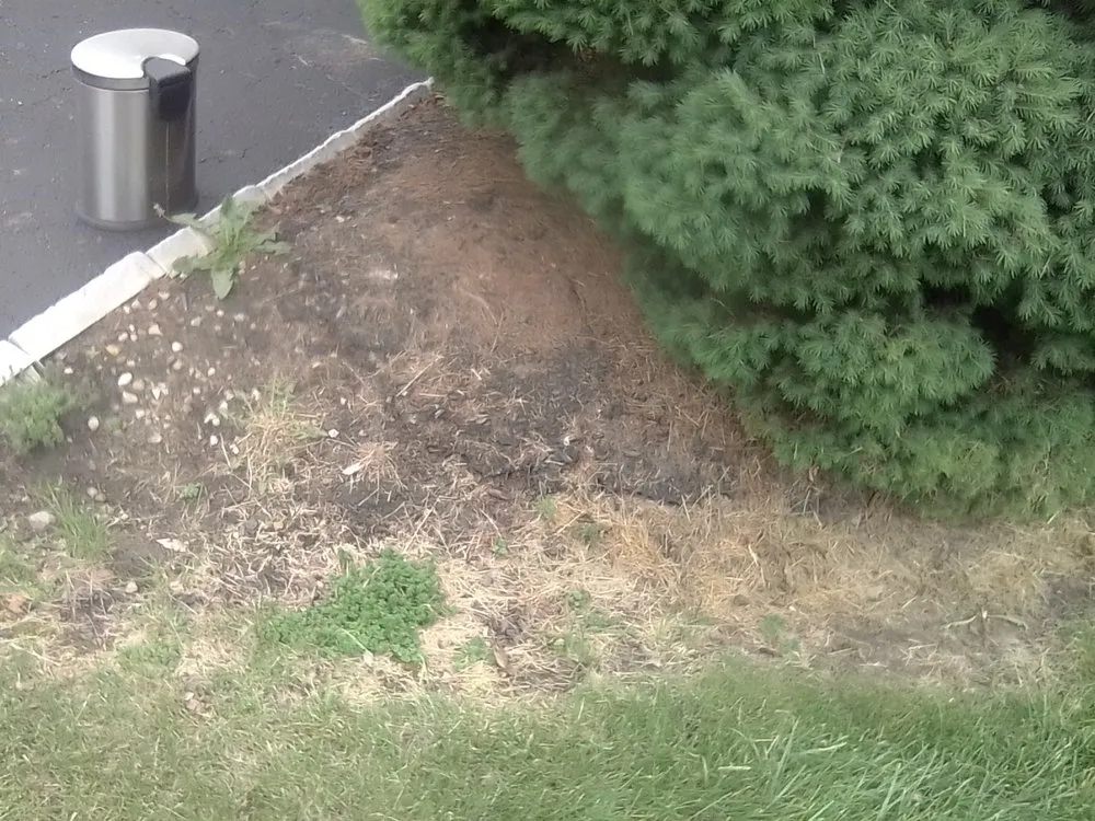 Expert outdoor landscaping in Groveport, OH - Bella Unique Landscapes and Lawncare