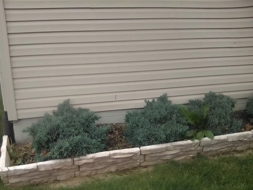 Custom lawn care service for beautiful yards in Groveport, OH by Bella Unique Landscapes and Lawncare