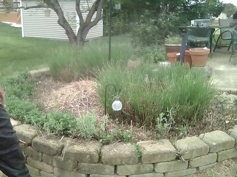 Reliable garden landscaping in Groveport, OH by Bella Unique Landscapes and Lawncare