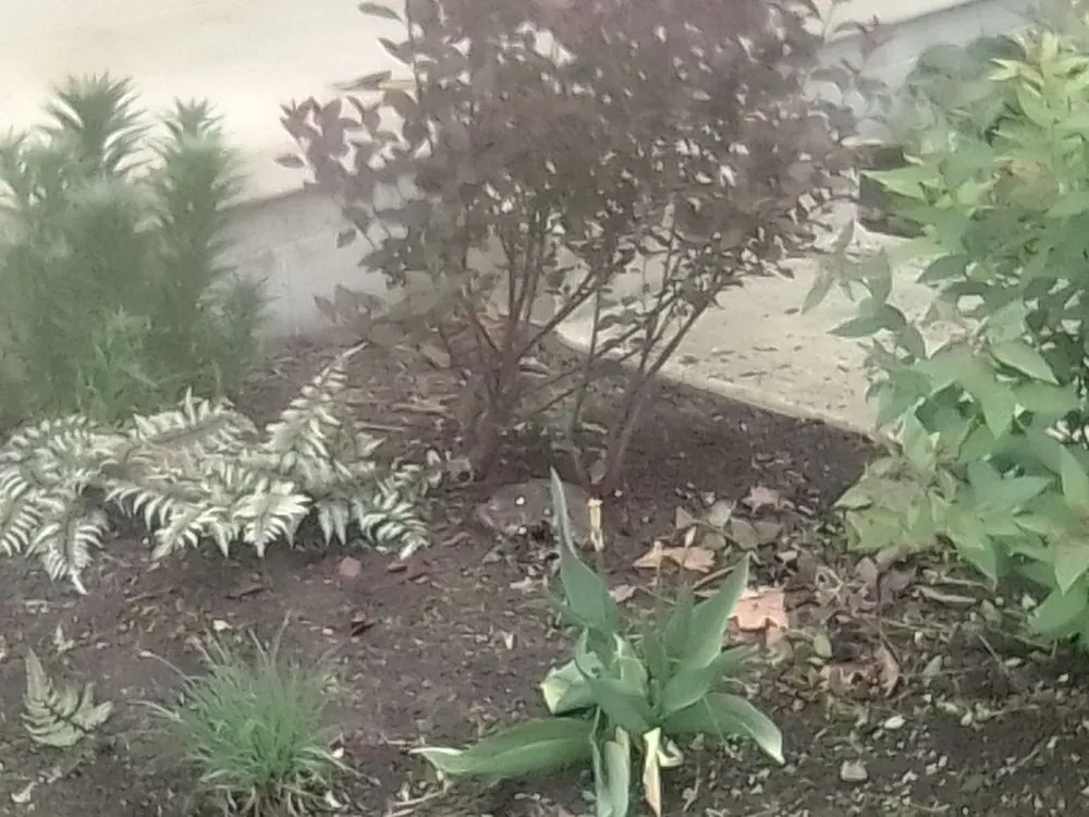 Local garden landscaping for beautiful yards across Groveport, OH - Bella Unique Landscapes and Lawncare