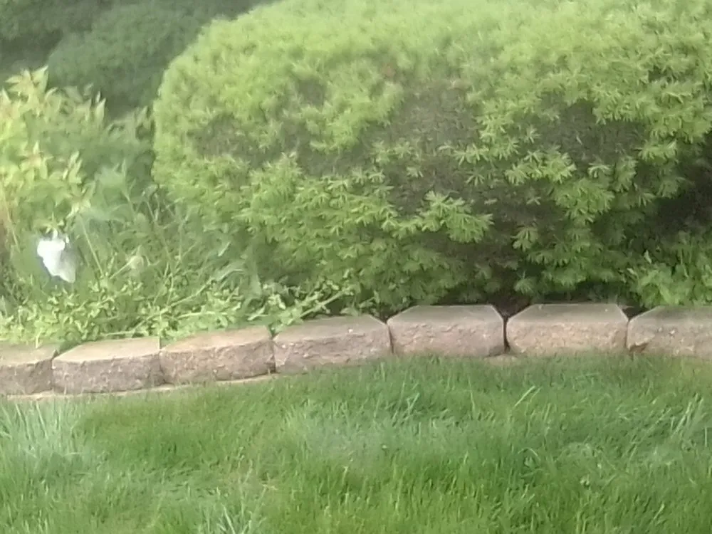 Professional outdoor landscaping for beautiful yards in Groveport, OH by Bella Unique Landscapes and Lawncare