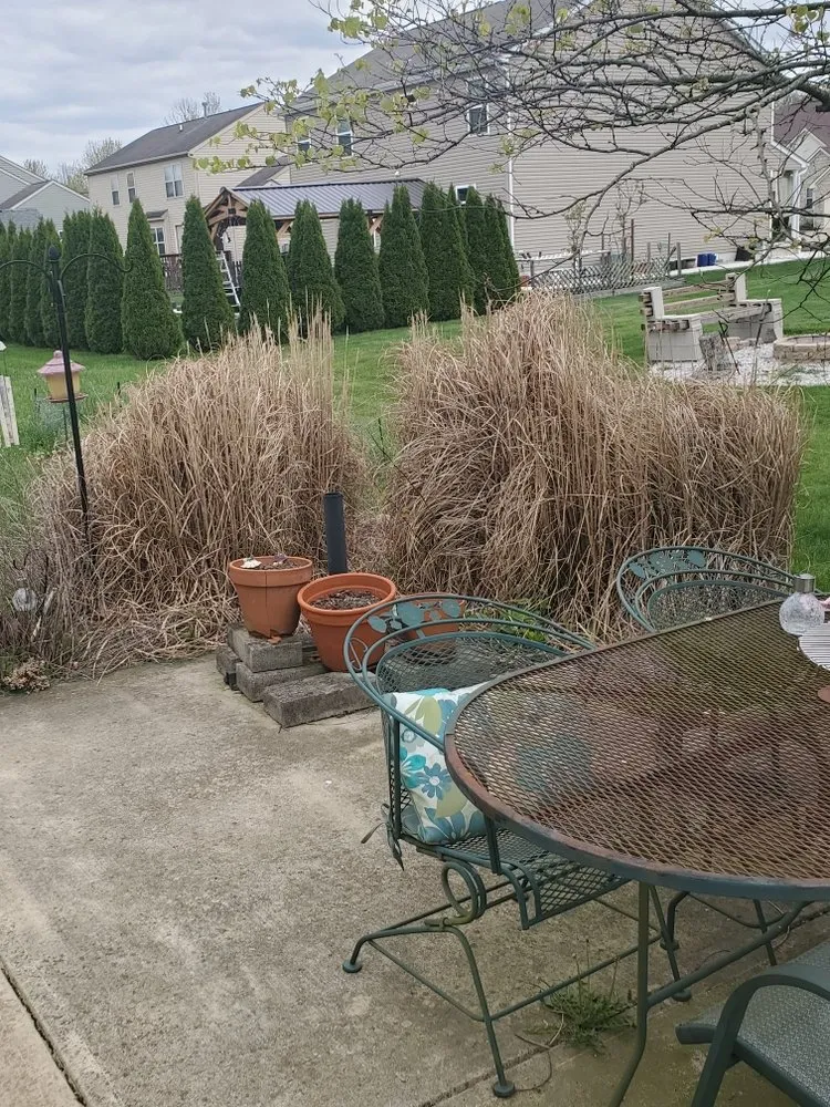 Trusted lawn mowing service for beautiful yards across Groveport, OH - Bella Unique Landscapes and Lawncare