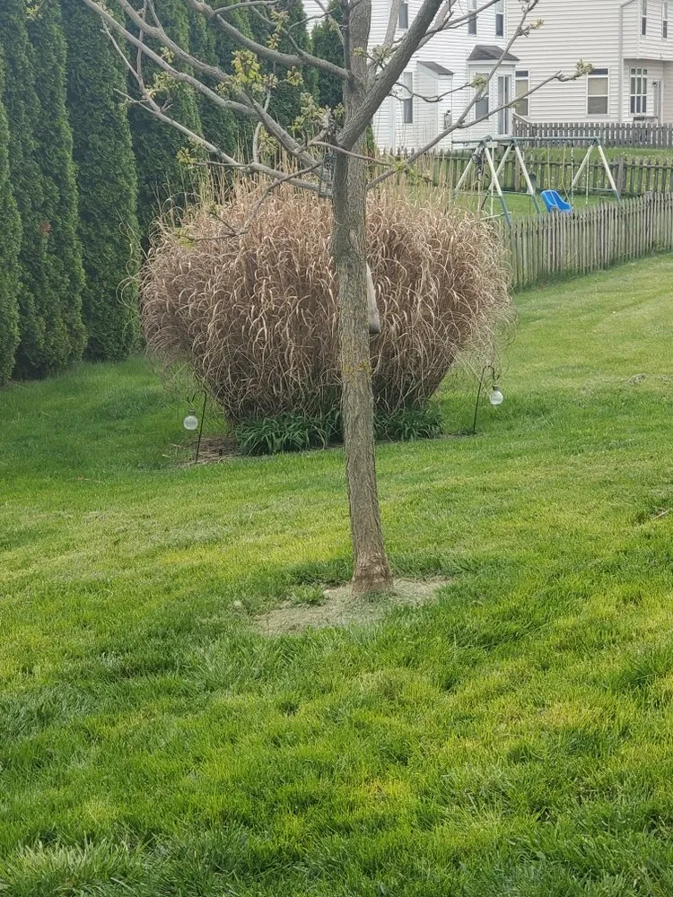 Top-rated garden landscaping experts serving Groveport, OH - Bella Unique Landscapes and Lawncare