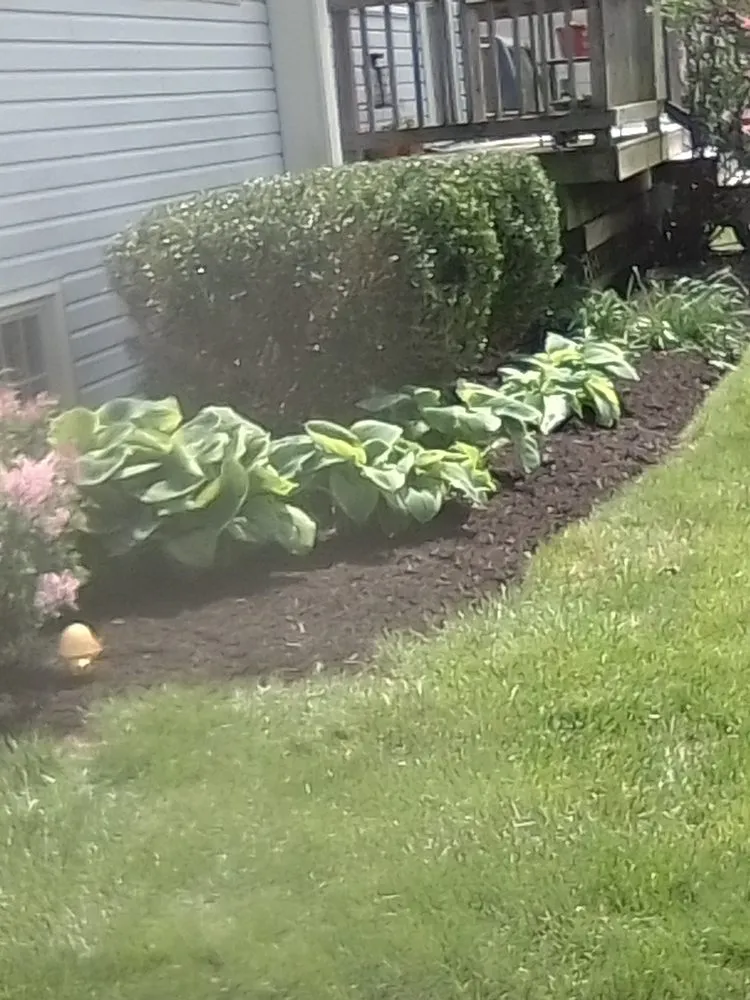 Local lawn mowing service for outdoor upgrades across Groveport, OH - Bella Unique Landscapes and Lawncare