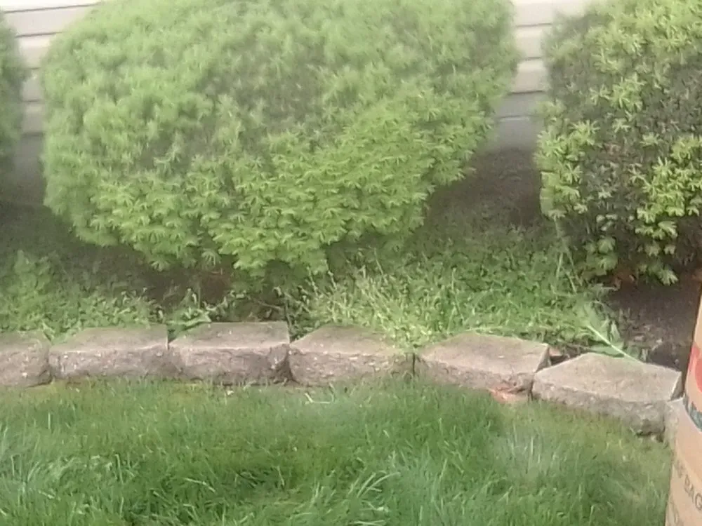 Reliable landscape installation for outdoor upgrades in Groveport, OH by Bella Unique Landscapes and Lawncare