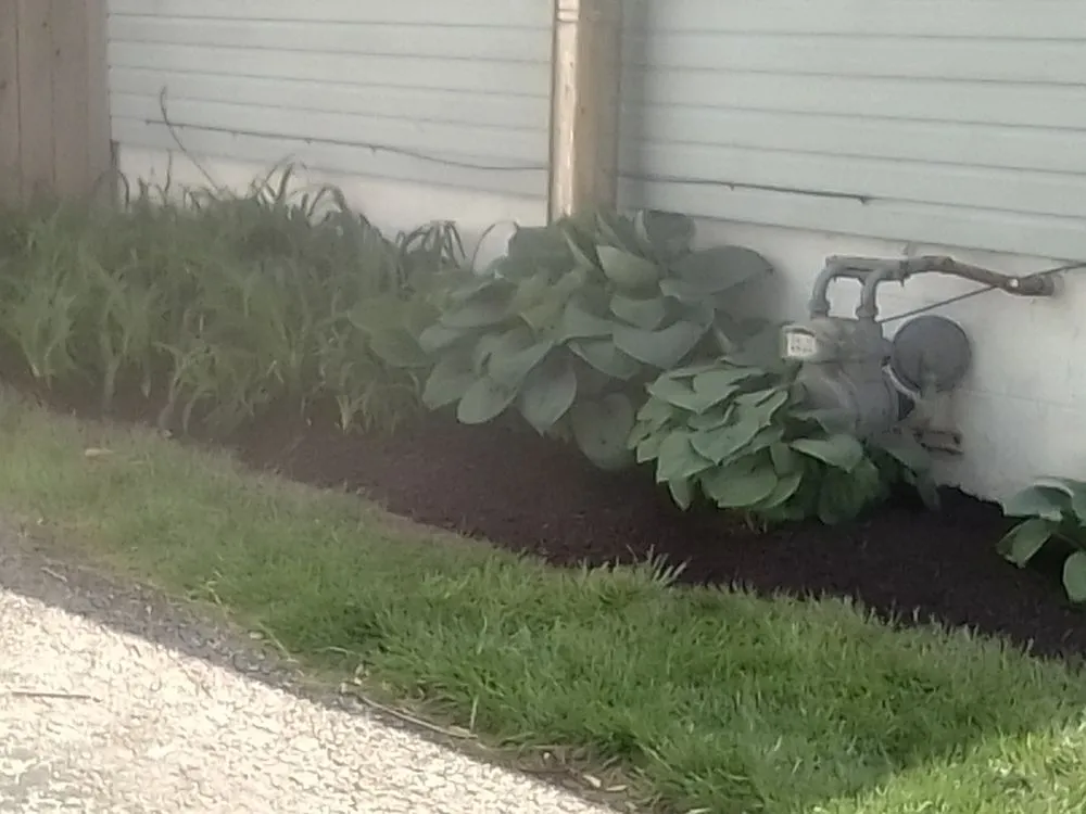 Professional yard maintenance in Groveport, OH by Bella Unique Landscapes and Lawncare