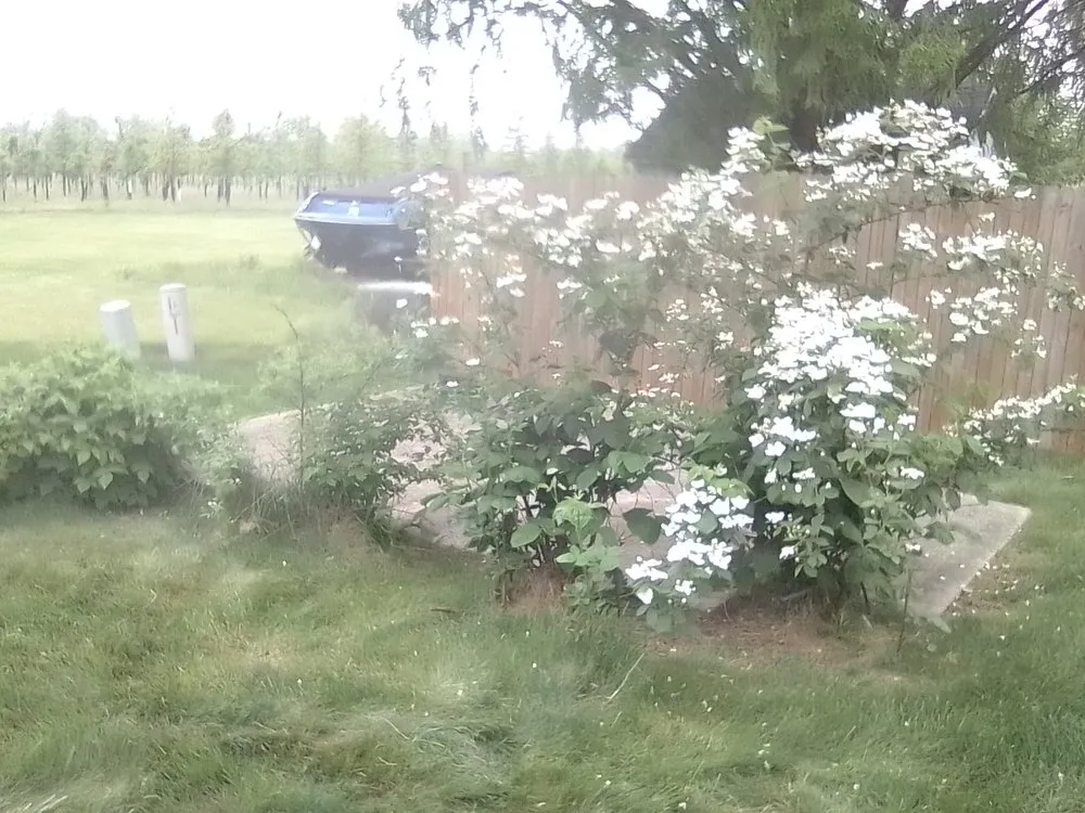 Affordable landscaping services with custom design in Groveport, OH by Bella Unique Landscapes and Lawncare