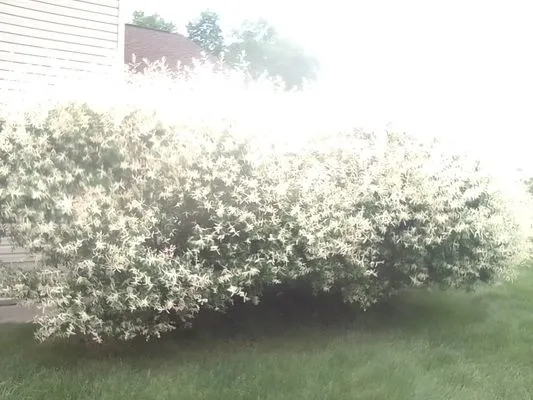 Bella Unique Landscapes and Lawncare