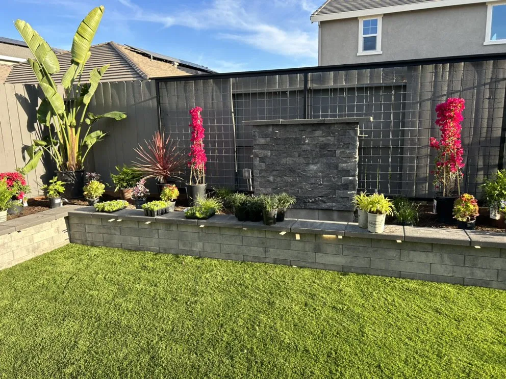 Top-rated lawn care service in Lodi, CA by Bella View Landscape