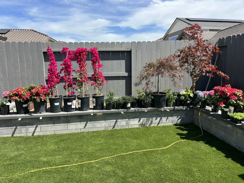 Trusted lawn mowing service in Lodi, CA by Bella View Landscape