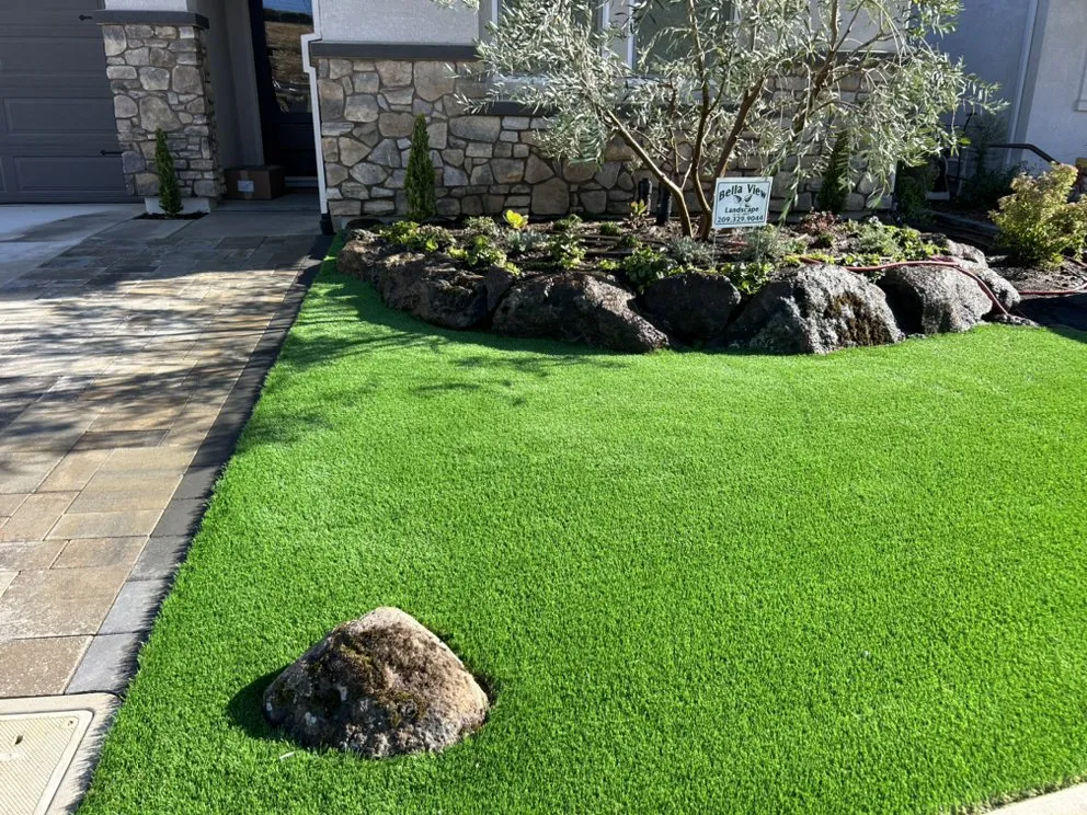 Reliable yard cleanup service for year-round maintenance in Lodi, CA by Bella View Landscape