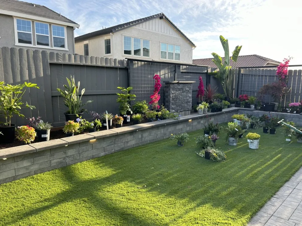 Professional outdoor landscaping near you in Lodi, CA by Bella View Landscape