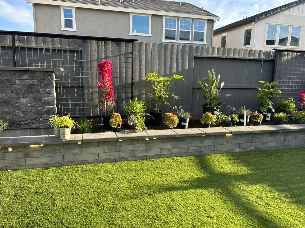 Trusted yard cleanup service in Lodi, CA - Bella View Landscape