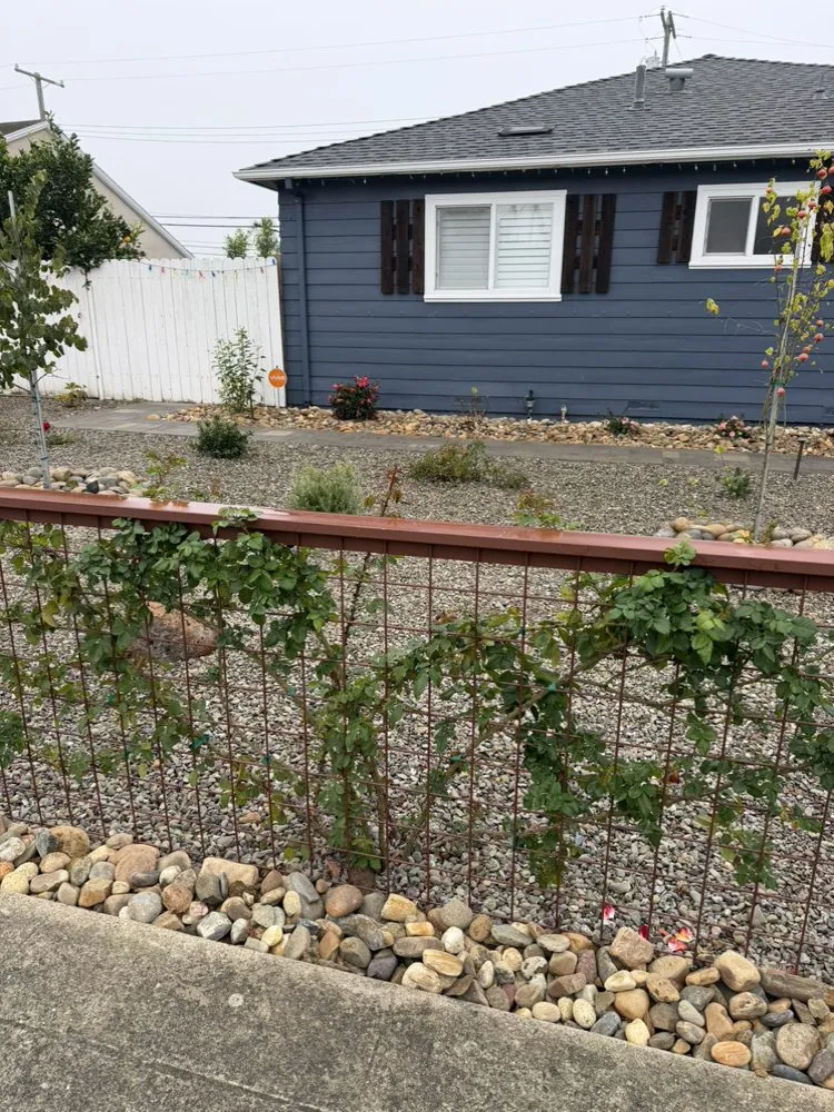 Expert landscaping services in Lodi, CA - Bella View Landscape