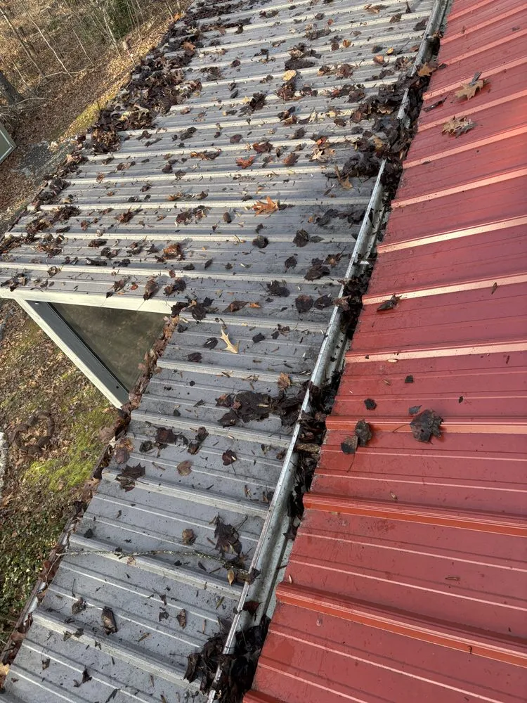 Custom landscape installation experts serving Randleman, NC - Bella Vista Landscape