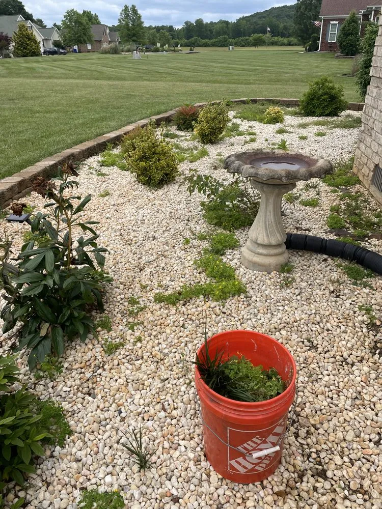 Top-rated yard cleanup service for residential properties in Randleman, NC by Bella Vista Landscape