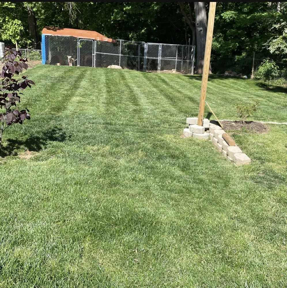 Trusted lawn mowing service for homes in Randleman, NC by Bella Vista Landscape