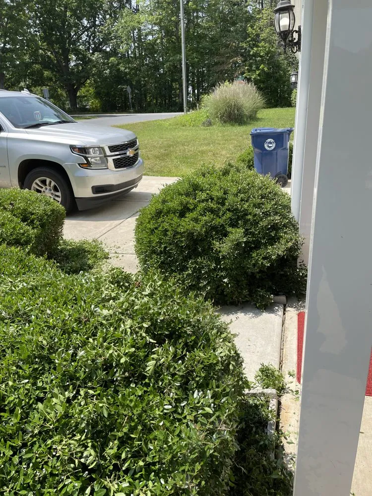 Custom yard cleanup service in Randleman, NC by Bella Vista Landscape