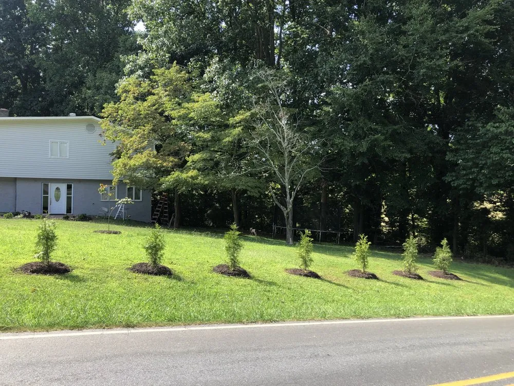 Local lawn care service in Randleman, NC - Bella Vista Landscape