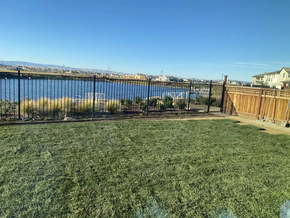 Local yard cleanup service for beautiful yards in San Jose, CA by Bella Vista Landscape Service