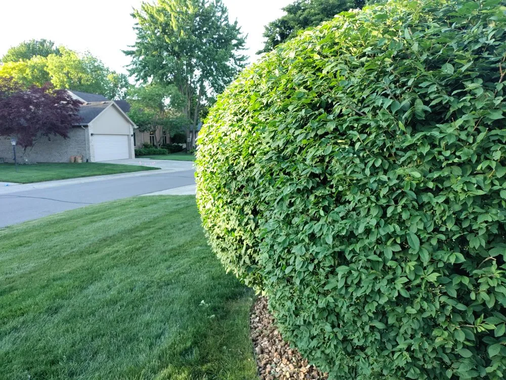 Top-rated lawn mowing service in Richmond, MI by Bella Vista Outdoor Living