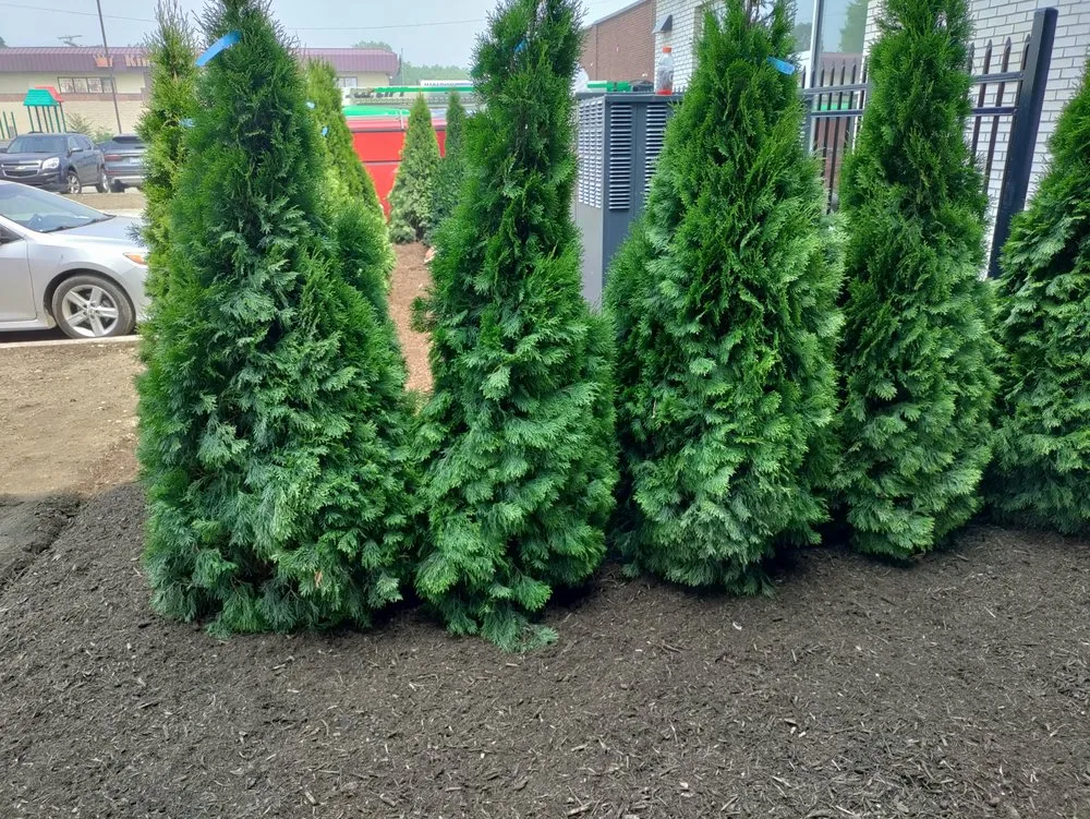 Expert yard cleanup service for homes across Richmond, MI - Bella Vista Outdoor Living