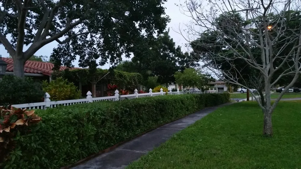 Top-rated landscape design in Fort Lauderdale, FL - Bellaivy Lawn Service