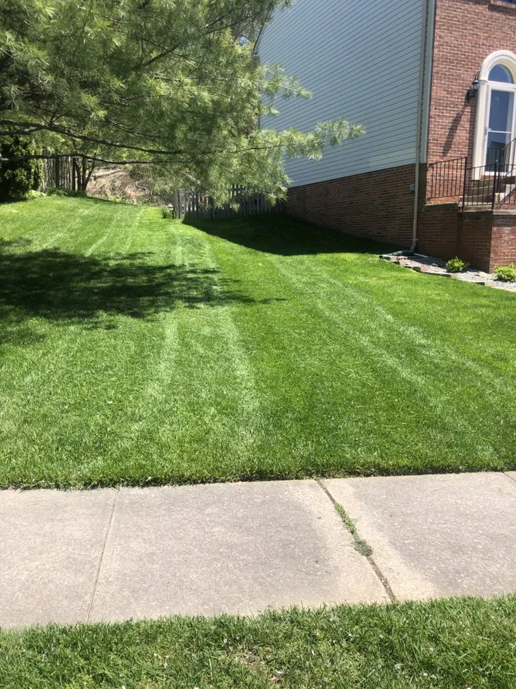 Custom yard cleanup service experts serving Forest Hill, MD - Bellamy Lawn Care