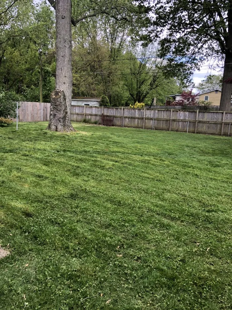 Professional landscaping services for homes across Forest Hill, MD - Bellamy Lawn Care