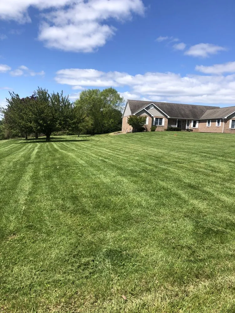 Top-rated landscape installation experts serving Forest Hill, MD - Bellamy Lawn Care